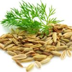 Семена укропа в лечение простатита: эффективность и правила применения